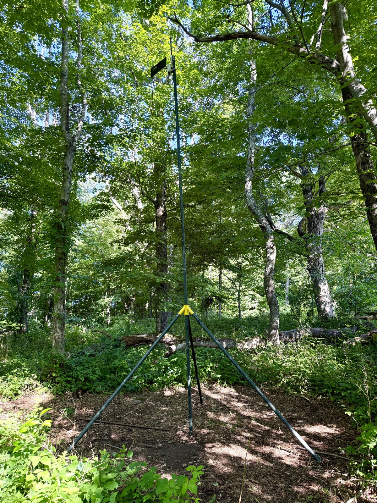 MeshCore tower in the forest